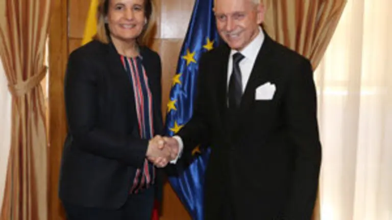 Bañez-director general OIM