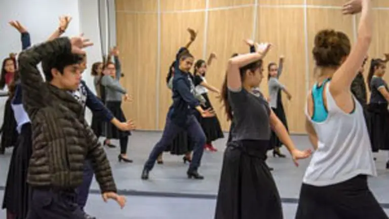 neuquen curso flamenco 7 7 1