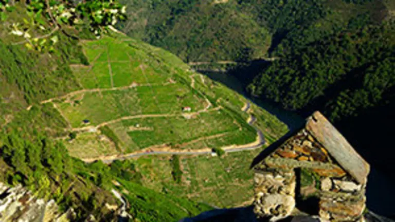 12.Ribeira Sacra-Vinedos2