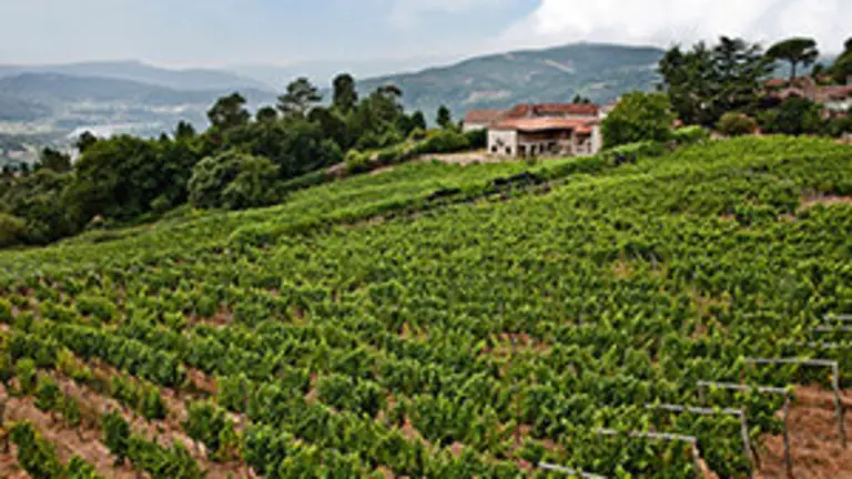 13.Pazo Casanova-O Ribeiro