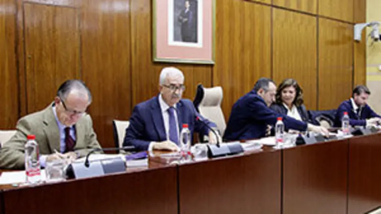 Manuel Jiménez Barrios Comisión Parlamento