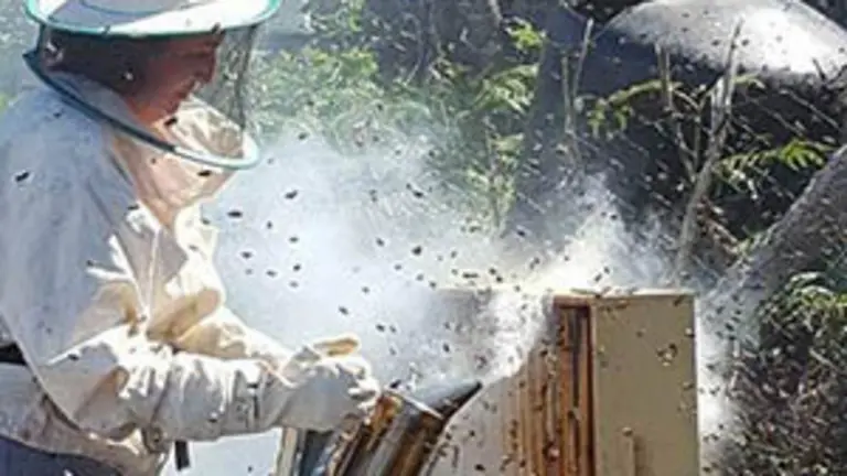 13.María Dolores Rodríguez 2