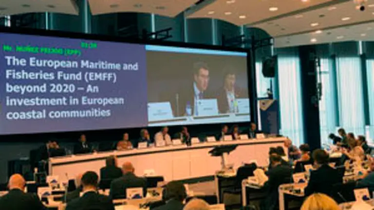 Feijoo en Bruselas-Comite Regiones