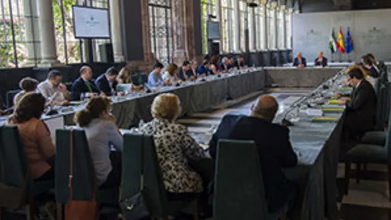 Consejo Comunidades Andaluzas1