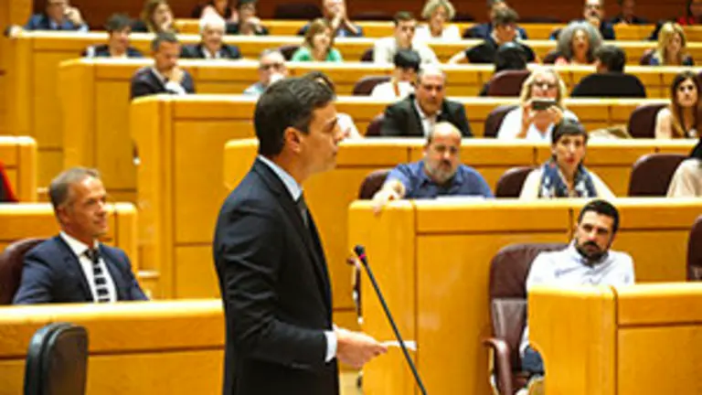 Pedro Sánchez en el Senado