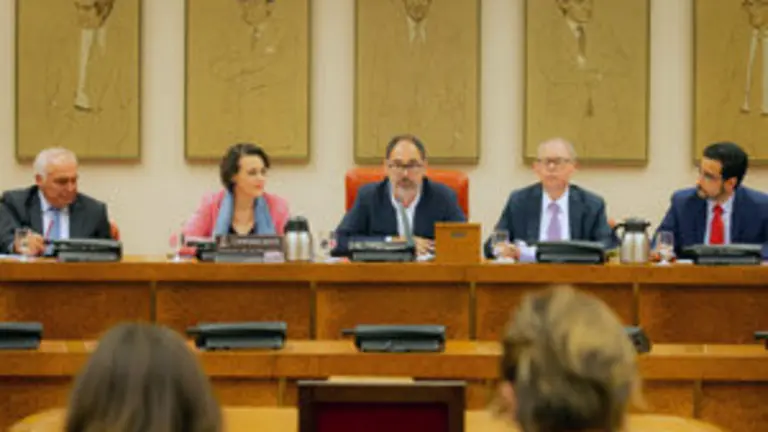 Magdalena Valerio en el Congreso1