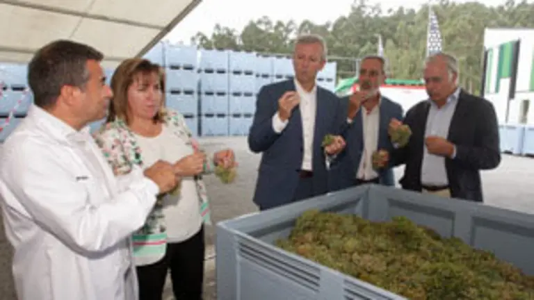 Rueda-Vendima Meaño1