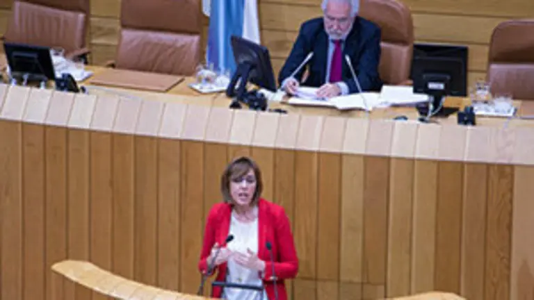 Raquel Arias en el Parlamento
