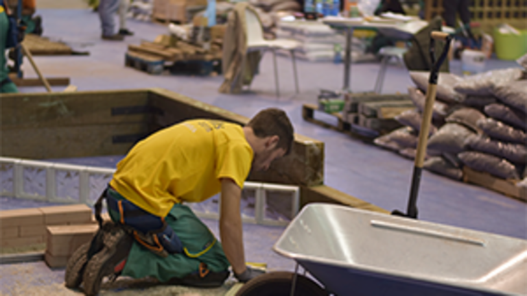 8.Formación Profesional