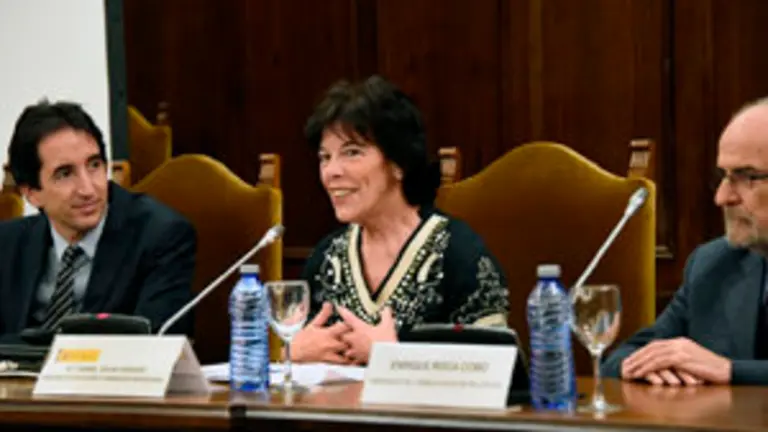 Profesores visitantes