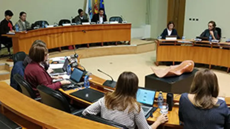 271119 Miranda Parlamento