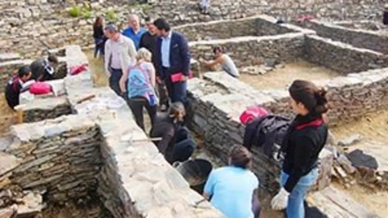 11.Campos de Voluntariado