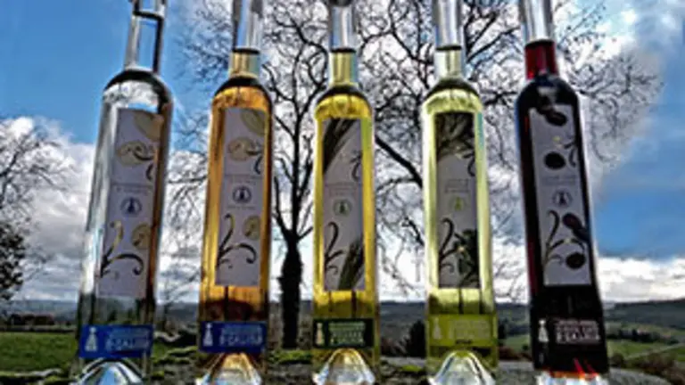 20.Aguardientes y licores