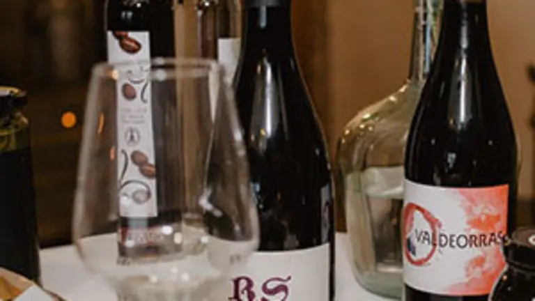 21.Vinos Valdeorras y Ribeira Sacra