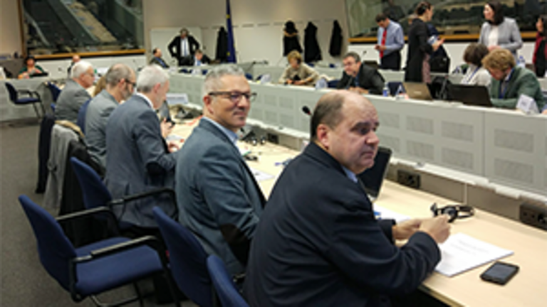 22.Reunión de Seguimiento de la Comisión Europea