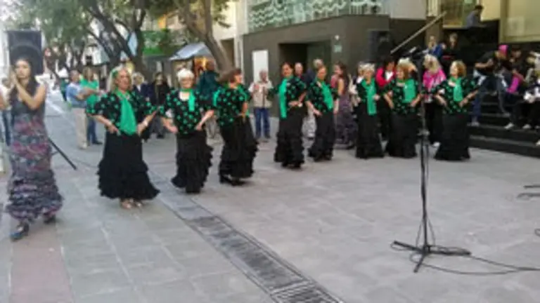 andaluz_bahia_peatonal_20_12_3