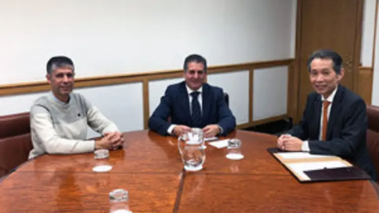 Viceconsejero exterior-Japon