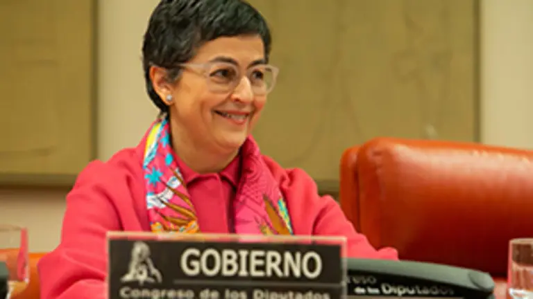 Laya-comparecencia Congreso 1