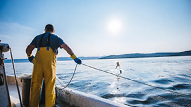 Fisherman putting the fishing net into the water. He is standing on his boat. Sun in back.