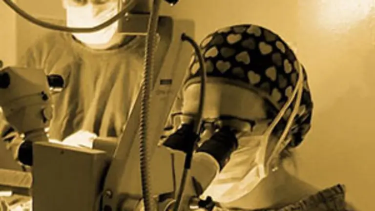 trasplante cornea mayo 2020