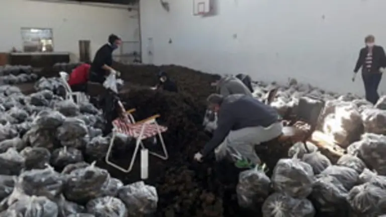 carhue_solidaria_28_5