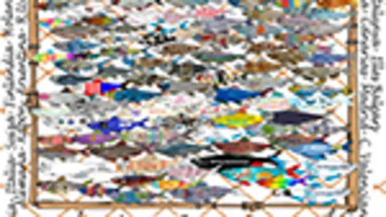 P. Cartel-Sardiñas3