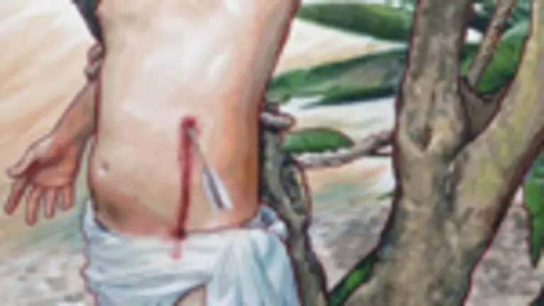 Fegalcat-Cuadro de Naranjo 2