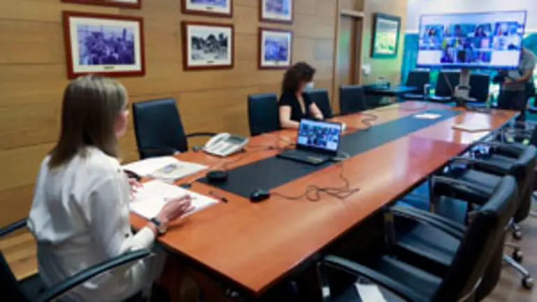 A conselleira de Pol&iacute;tica Social en funci&oacute;ns, Fabiola Garc&iacute;a, participa  por videoconferencia na sesi&oacute;n constitutiva da Conferencia sectorial de Reto Demogr&aacute;fico.