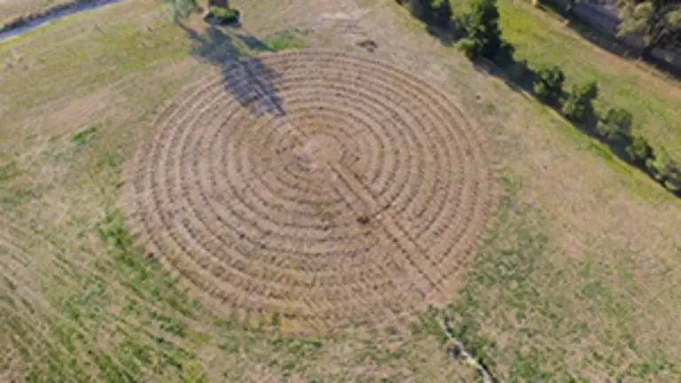 Proyecto Verde Sociedad Española de S.M. de Adolfo Alsina 2