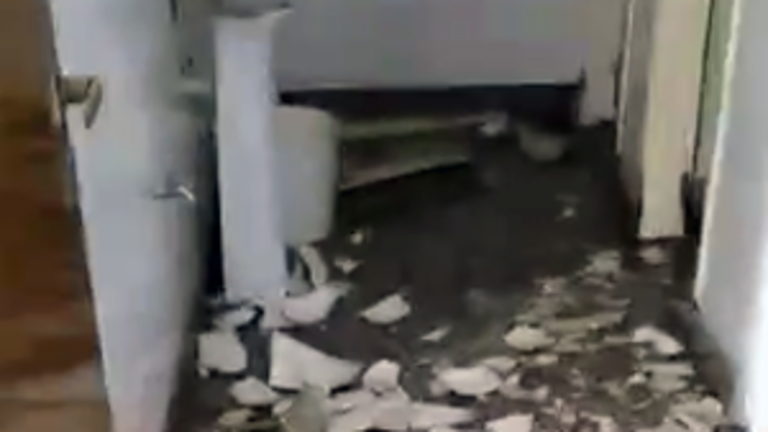 Vandalos Mar del Plata