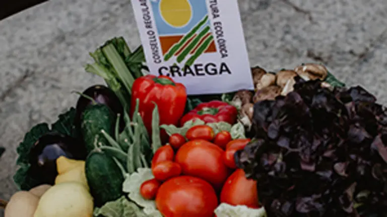 11.Productos de Calidad 1