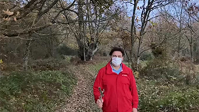 Miranda-Camiño ao respecto