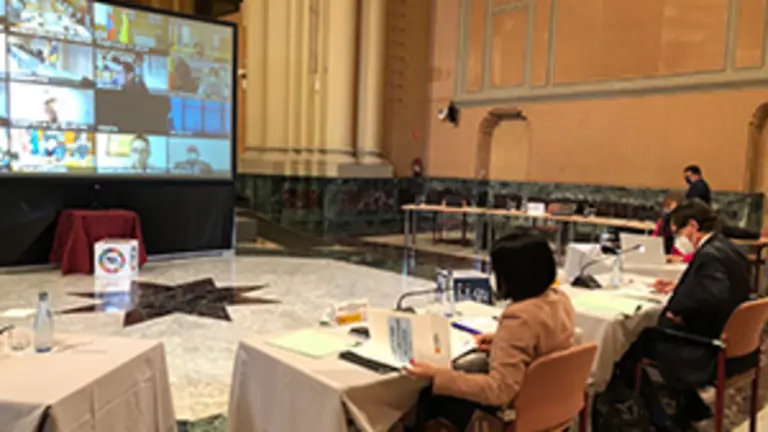 Consejo Interterritorial copia