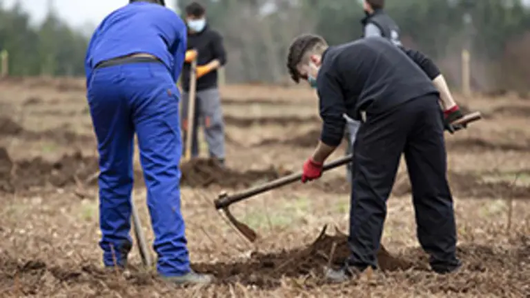 Obradoiros de Empleo