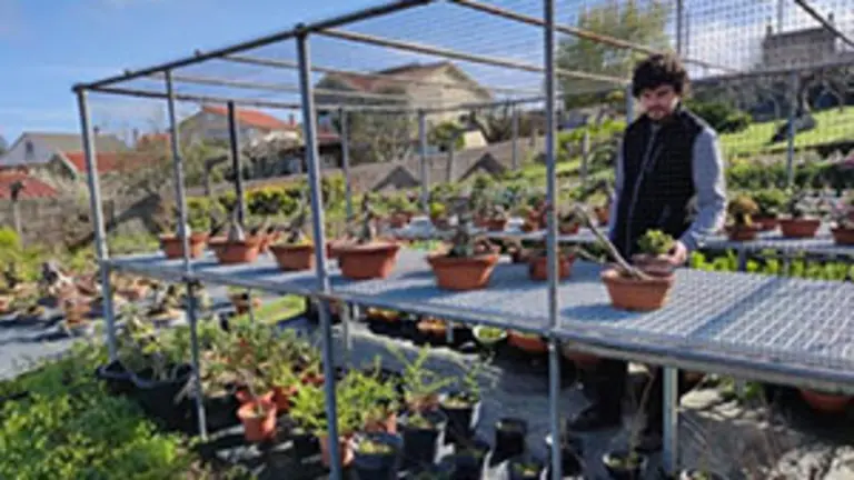 emprendedor-retornado_viveiro de plantas