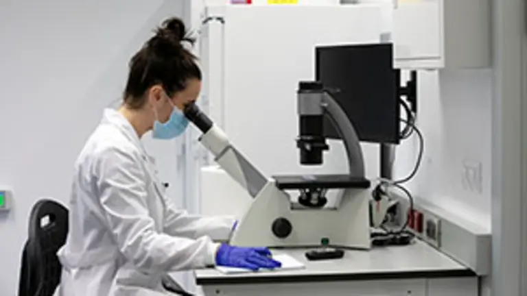 41728-principia-e-talento-senior-2021_0