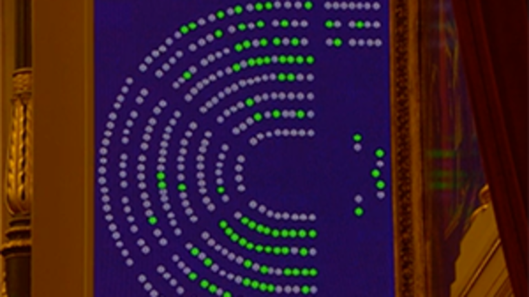 Foto votación copia