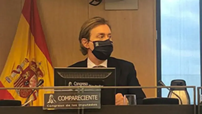 Gamallo-Comparecencia Congreso