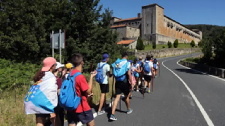 CURSO ONLINE PRESCRIPTORES