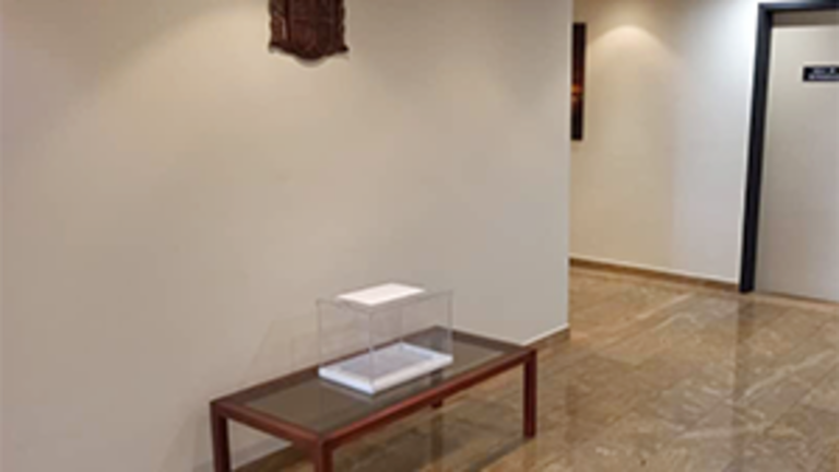 URNA ELECTORAL CONSULADOGENERAL DE ESPAÑEN CARACAS ELECCIONES CyL FEB 2022