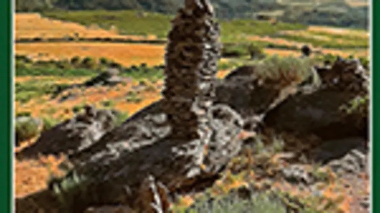 P.Portada Lua Nova copia