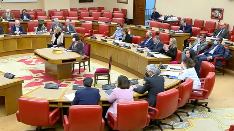 Comision Constitucional 2