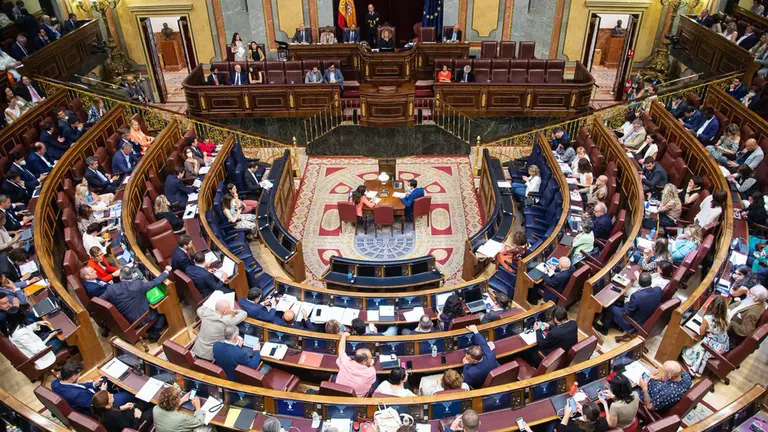 Pleno Congreso