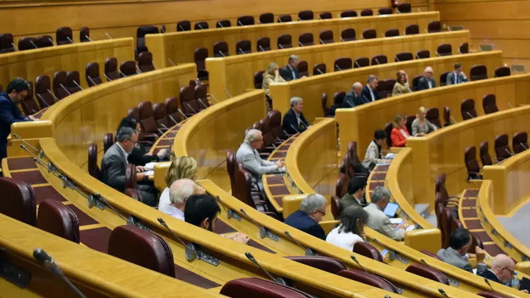 Senado-Comision Constitucional