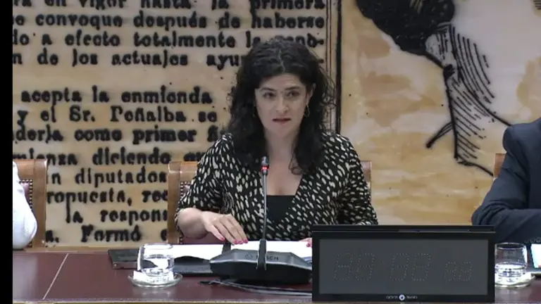 Isabel Castro en el Senado 2 