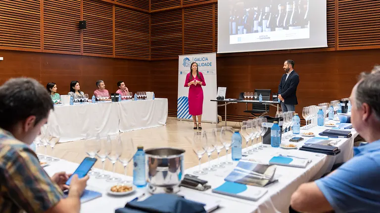 Galicia Calidade en San Sebastian 1