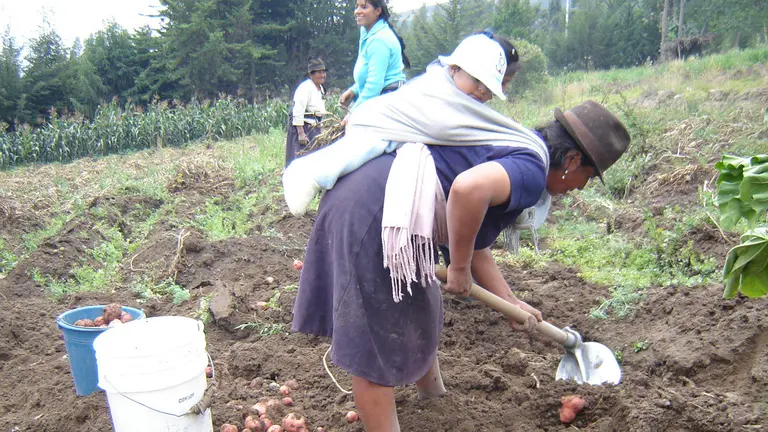 Cooperacion-Proyecto Ecuador