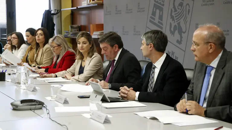 Consejo Cooperacion 12