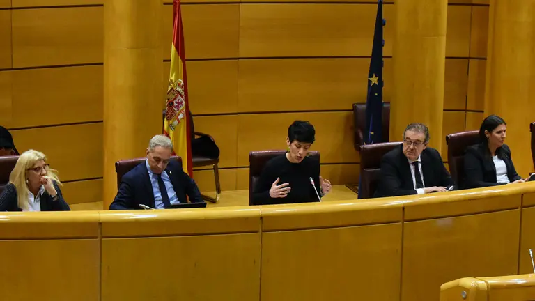 Elma Saiz en el Senado 1