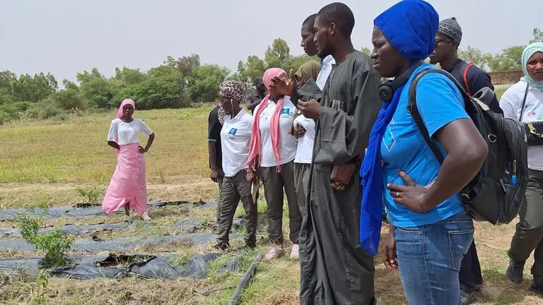 Cooperación África